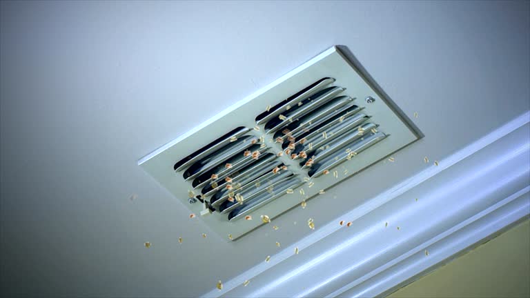Best Air Duct Cleaning Company Near Me  in Arlington Heights, WA