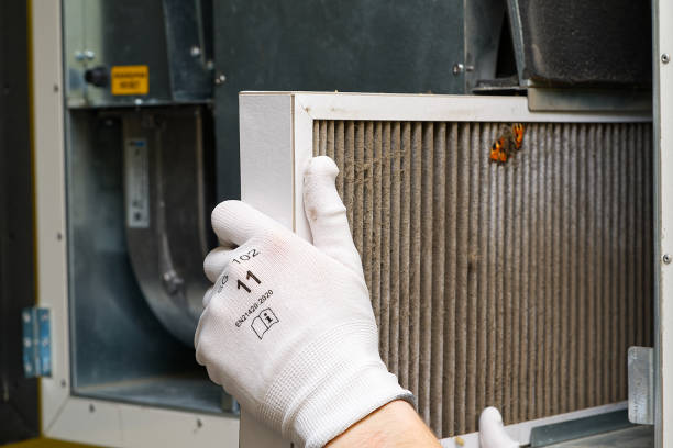 Best HVAC Maintenance and Cleaning  in Arlington Heights, WA