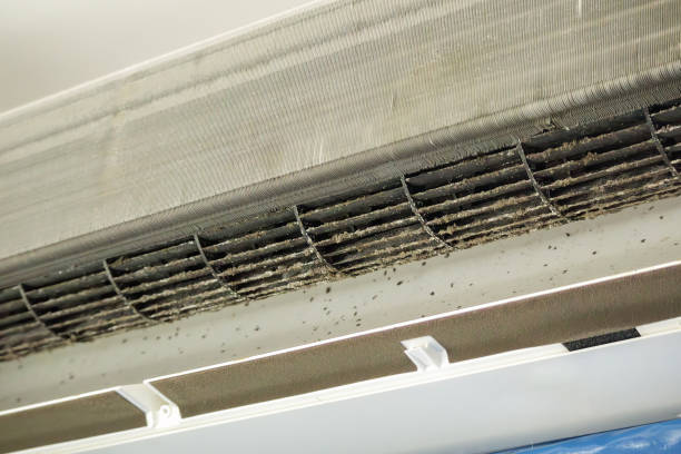 Best Duct Cleaning for Homes  in Arlington Heights, WA