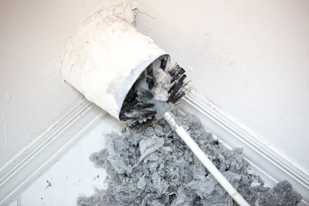 Best HVAC System Cleaning  in Arlington Heights, WA